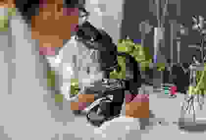 Course Category Image Course Category Image